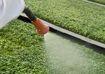 agriculture-spraying.jpg